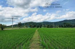 กดที่นี่เพื่อแสดงรายละเอียด