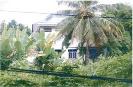 Click here to view detail