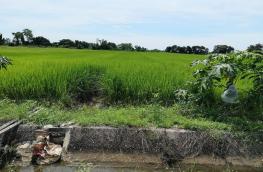 กดที่นี่เพื่อแสดงรายละเอียด
