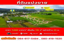 Click here to view detail