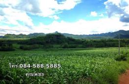 กดที่นี่เพื่อแสดงรายละเอียด