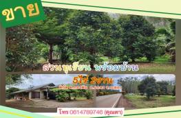 กดที่นี่เพื่อแสดงรายละเอียด