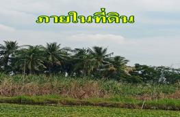 กดที่นี่เพื่อแสดงรายละเอียด