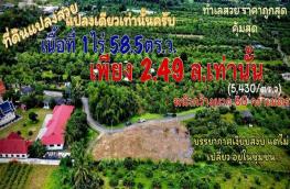 Click here to view detail