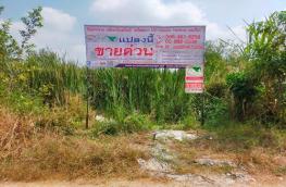 กดที่นี่เพื่อแสดงรายละเอียด