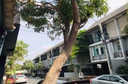 กดที่นี่เพื่อแสดงรายละเอียด