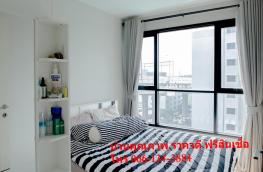 Click here to view detail