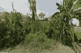 กดที่นี่เพื่อแสดงรายละเอียด