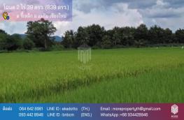 กดที่นี่เพื่อแสดงรายละเอียด