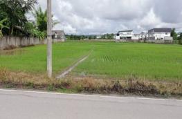 กดที่นี่เพื่อแสดงรายละเอียด