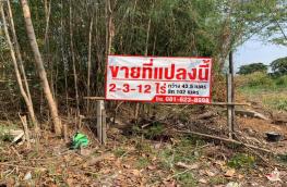 กดที่นี่เพื่อแสดงรายละเอียด