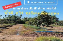 กดที่นี่เพื่อแสดงรายละเอียด