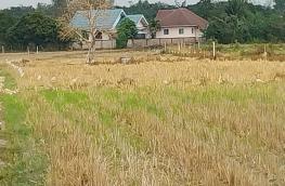 กดที่นี่เพื่อแสดงรายละเอียด