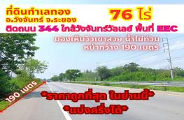 Click here to view detail