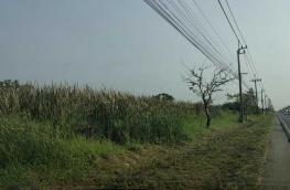 กดที่นี่เพื่อแสดงรายละเอียด