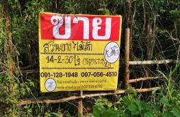 กดที่นี่เพื่อแสดงรายละเอียด