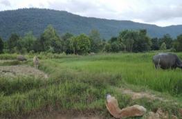 กดที่นี่เพื่อแสดงรายละเอียด