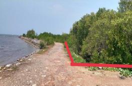 Click here to view detail