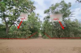 Click here to view detail