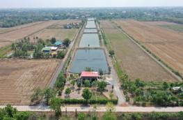 กดที่นี่เพื่อแสดงรายละเอียด