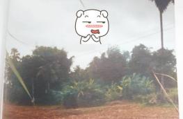 กดที่นี่เพื่อแสดงรายละเอียด