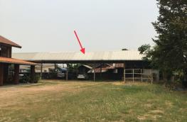 Click here to view detail