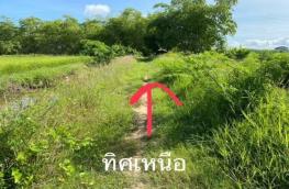 กดที่นี่เพื่อแสดงรายละเอียด