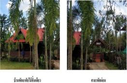 กดที่นี่เพื่อแสดงรายละเอียด