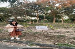 กดที่นี่เพื่อแสดงรายละเอียด