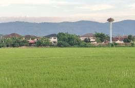 กดที่นี่เพื่อแสดงรายละเอียด