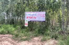 กดที่นี่เพื่อแสดงรายละเอียด