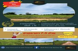 กดที่นี่เพื่อแสดงรายละเอียด