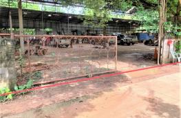 กดที่นี่เพื่อแสดงรายละเอียด