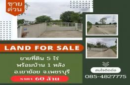 Click here to view detail