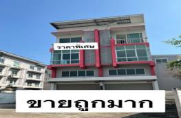 กดที่นี่เพื่อแสดงรายละเอียด