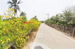 Click here to view detail