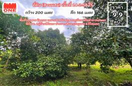 กดที่นี่เพื่อแสดงรายละเอียด