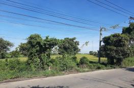 กดที่นี่เพื่อแสดงรายละเอียด