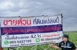 กดที่นี่เพื่อแสดงรายละเอียด