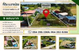 Click here to view detail