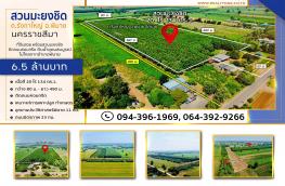 Click here to view detail