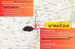 กดที่นี่เพื่อแสดงรายละเอียด